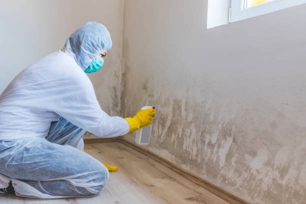 Hvac And Air Duct Mold Remediation inspection of HVAC system in Hillside
